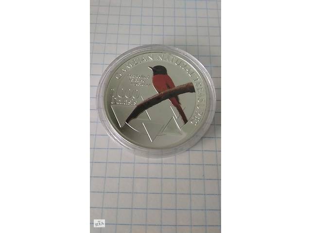 1000 даласі. Червоний пузатий райський мухолов. Гамбія. 2015