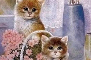 Алмазна мозаїка вишивка Пухнаста парочка кішка кіт Мрійливі коти на підрамнику повна 5d 30х40 см