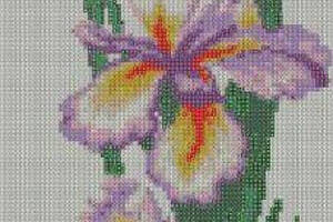 Алмазна вишивка 'Іриси' півники квіти затишок декор букет сад повна викладка мозаїка 5d набори 53x26 см