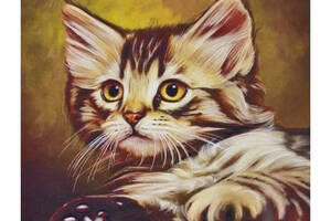 Алмазна вишивка ' Кіт відпочиває на дивані ' кішка райдужний повна викладка мозаїка 5d набори 30х40 см