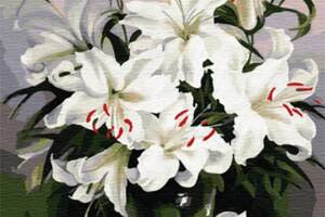 Алмазна вишивка мозаїка Білі лілії букет квіти ваза підрамнику повна 5d 40х50