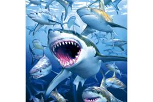 Алмазна вишивка 'Зграя акул', море,риф, риба, повна викладка, ,мозаїка 5d, набори 30х40 см