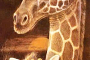 Алмазна вишивка' Жираф з дитинчам ',тигр,лев,леопард,жираф, повна викладка ,мозаїка 5d, набори 25х55 см
