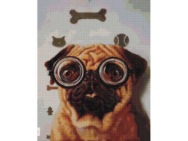 Алмазная мозаика 'Проверка зрения собачки' ©Lucia Heffernan Brushme DBS1220, 40x50 см
