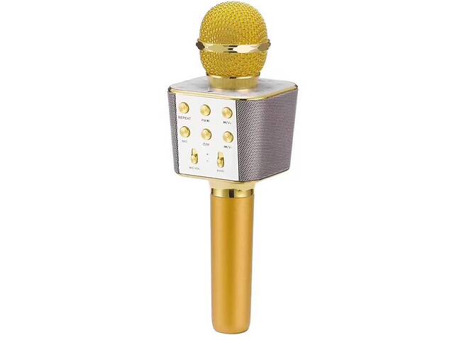 Бездротовий караоке мікрофон WSTER WS-1688 NBZ Bluetooth USB AUX FM Gold