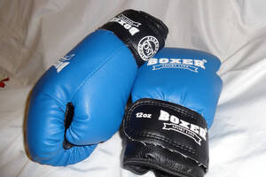 Боксерские перчатки 8 oz Boxer Синий (hub_dn7ir2)