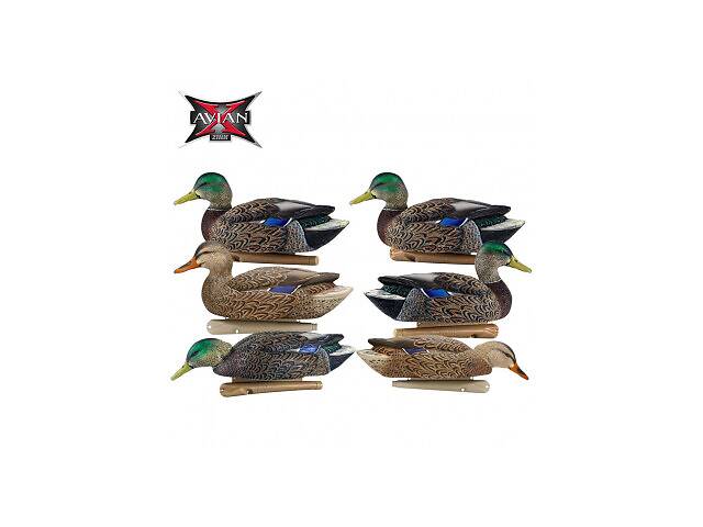 Чучела крякви схуднуло хитавицю Avian-X Early-Season Mallard Decoys