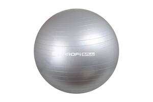 Фитбол мяч для фитнеса ProfiBall 65 см без насоса серый