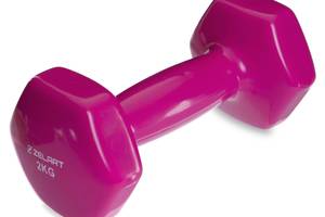 Гантели для фитнеса с виниловым покрытием Zelart TA-2777-2 2 кг 2 шт Розовый (SK000126)