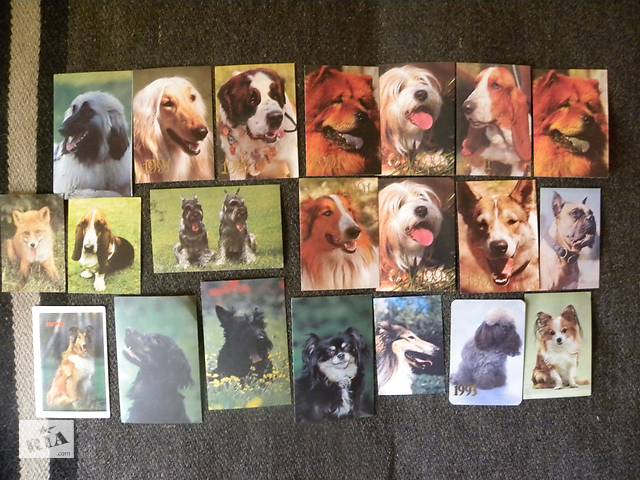 Календарики кошки и собаки