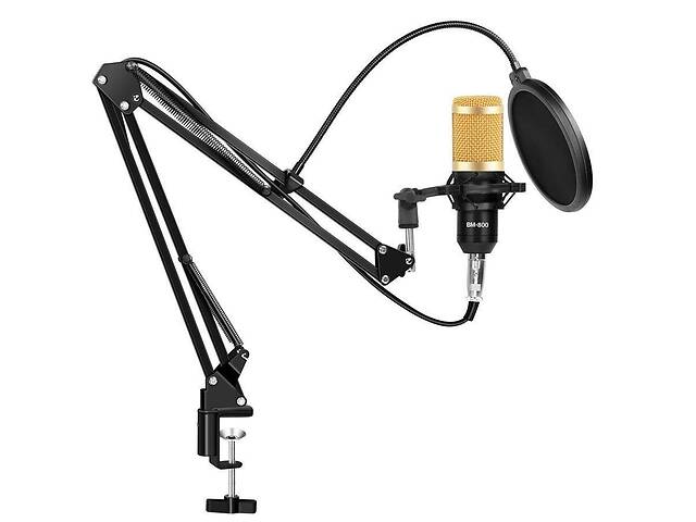 Конденсаторний студійний мікрофон Music D.J. M 800U зі стійким та вітрозахистом Black/Gold (7ql72a)