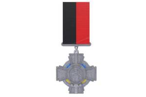 Медаль с удостоверением Collection Крест Несокрушимости 50х53 мм Серебристый (hub_k1ik8v)
