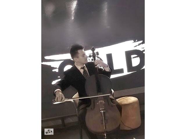 Музыкант, виолончелист, Киев.