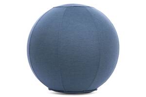 Мяч для фитнеса фитбол с чехлом FHAVK FI-1466 65см Синий