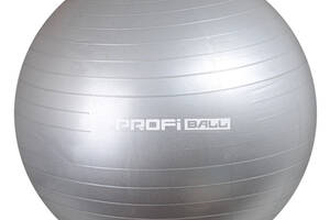 Мяч для фитнеса Profi M 0276-1 65 см Серый