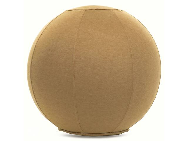 Мяч для фитнеса с чехлом planeta-sport FI-1466 65см Бежевый