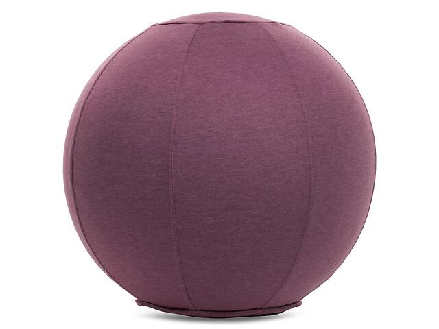 Мяч для фитнеса с чехлом planeta-sport FI-1466 65см Фиолетовый