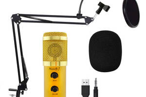 Микрофон студийный RIAS M800U со стойкой и ветрозащитой Gold (np2_00233)
