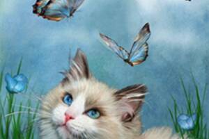 Набір Алмазна мозаїка вишивка Кішка і метелик пухнастий кошеня на підрамнику повна 5d 30х40
