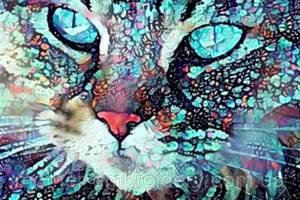 Набір Алмазна мозаїка вишивка Погляд блакитноокого кота на підрамнику повна 5d 30х40 см
