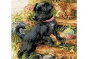 Набір Алмазна мозаїка вишивка Пухнаста парочка Кіт та собака кращі друзі кошеня та щеня повна 5d 40х53 см