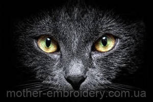 Набір алмазної мозаїки вишивки Погляд кота у темряві Чорний кіт кішка повна 5d набори 30х40 см