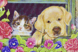 Набір алмазної вишивки 'Милий щеня і кошеня' любов дружба повна викладка мозаїка 5d набори 30х40 см