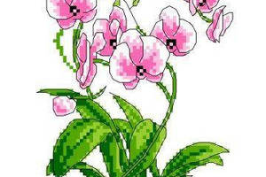 Набір для вишивання нитками хрестом 'Букет з орхідей' нитки, муліне, канва, голка, канва з малюнком