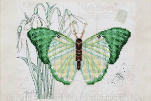 Набір для вишивки бісером 'Метелик' Крихкість крокуси часткова викладка 26х22 см