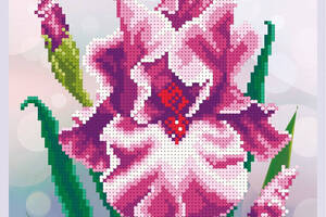 Набір для вишивки бісером 'Ніжні іриси' півники, квіти, декор, букет, сад, часткова викладка 18х22 см