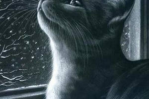 Набір вишивки алмазної мозаїки 'Кіт дивиться у вікно' кіт чорний зима повна викладка 5d набори 30х40 см