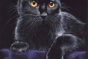 Набір вишивки алмазної мозаїки Кіт відпочиває на дивані чорний кішка повна викладка 5d набори 30х40 см