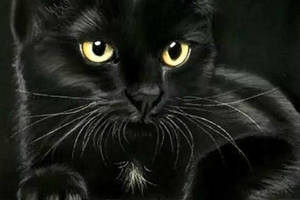 Набір вишивки алмазної мозаїки Погляд жовтоокого кота чорна кішка повна викладка 5d набори 30х40 см