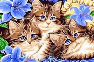 НабірНабір Алмазна мозаїка вишивка Коти грають природа хованки сад квіти на підрамнику повна 5d 40х50