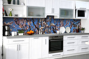 Наклейка на скинали Zatarga на кухню «Абрикосовый цвет» 600х2500 мм виниловая 3Д наклейка кухонный фартук самоклеящаяся