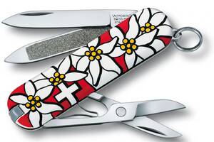 Нож Victorinox CLASSIC Edelweiss (1049-Vx06203.840)