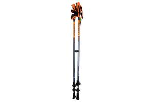 Палки для скандинавской ходьбы Birki Nordic Walking Carbon Vario 105-145 см Blue/Orange