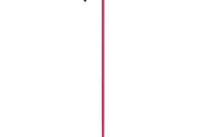 Палки горнолыжные Scott MJ 120 Розовый (1081-272695.0025.079)