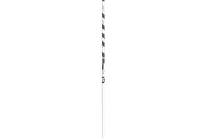 Палки горнолыжные Scott Punisher 135 Белый (1081-267368.0002.084)