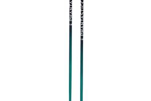 Палки горнолыжные Volkl Phantastick Women's Ski Poles Green-Purple 100 169819-100