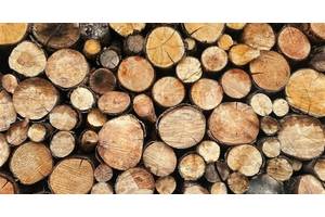 Продам дрова на паливо порізані на метри. Можлива доставка.