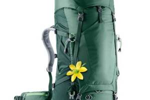 Рюкзак Deuter Futura Vario 45+10 SL Old Seagreen-Forest (1052-3402018 2247)