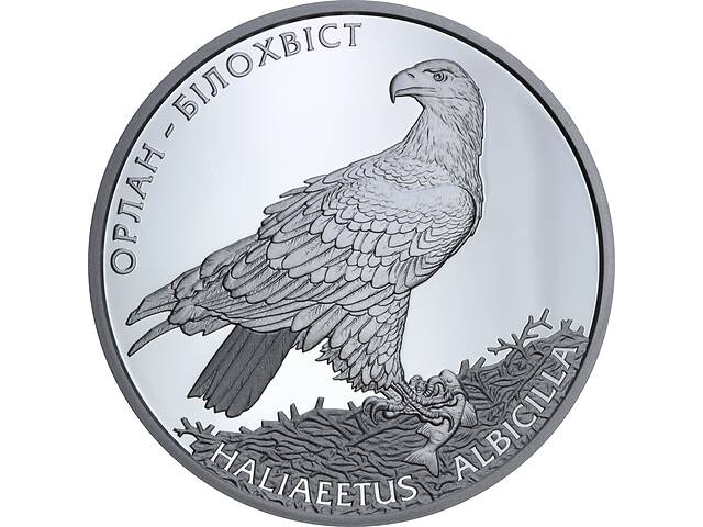 Серебряная монета 1oz Орлан-Белохвост 10 гривен 2019 Украина