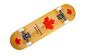 Скейтборд деревянный Sport Series Canadian maple Разноцветный (2008015934)