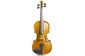 Скрипка Stentor 1500/I