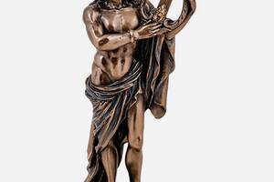 Статуэтка Veronese Аполлон покровитель мужской красоты и здоровья 15,5 см 1907193 бронзовое покрытие Купи уже