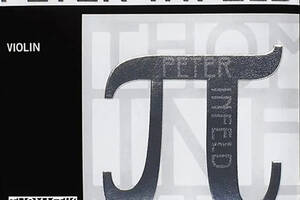 Струна Thomastik-Infeld PI04 Peter Infeld Synthetic Core Silver Wound 4/4 Violin G String Medium Tension