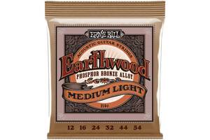 Струны для акустической гитары 6 шт Ernie Ball 2146 Earthwood Acoustic Phosphor Bronze 12/54