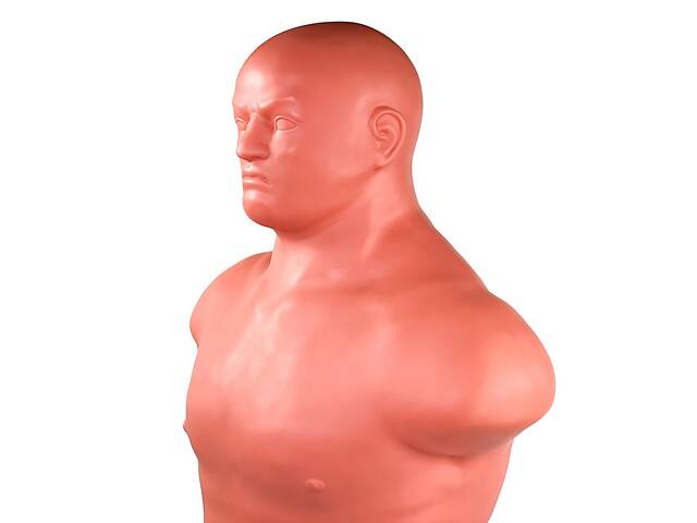 Водоналивний мішок манекен для боксу Stein (LPB-1703) - Фото 2