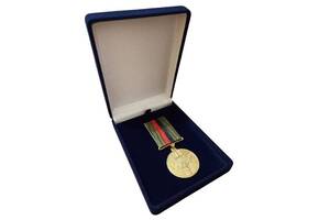 Медаль с удостоверением в футляре Collection Доброволец АТО 100x32 мм Золотистый (hub_xveqzl)